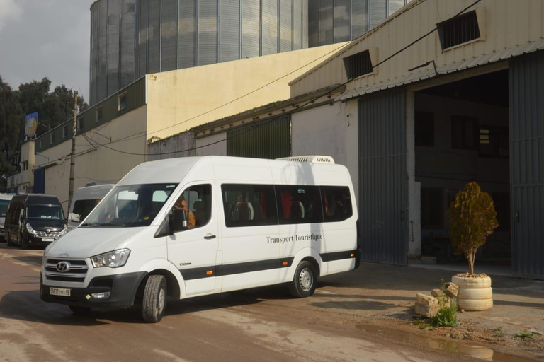 Tangier: 2 Day Tour to Fez and Chefchaouen Fes: Trip to Tangier in 2 Days with Chefchaouen overnight