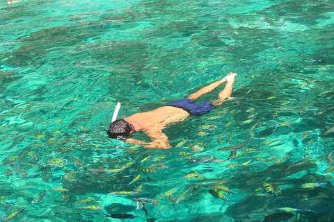 Phi Phi: Tour privato in barca a coda lunga della baia di Maya con snorkeling