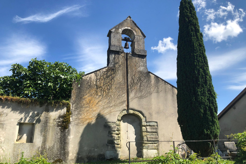 Campagna di Ginevra e degustazione di vini in E-Bike