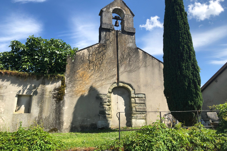 Campagna di Ginevra e degustazione di vini in E-Bike