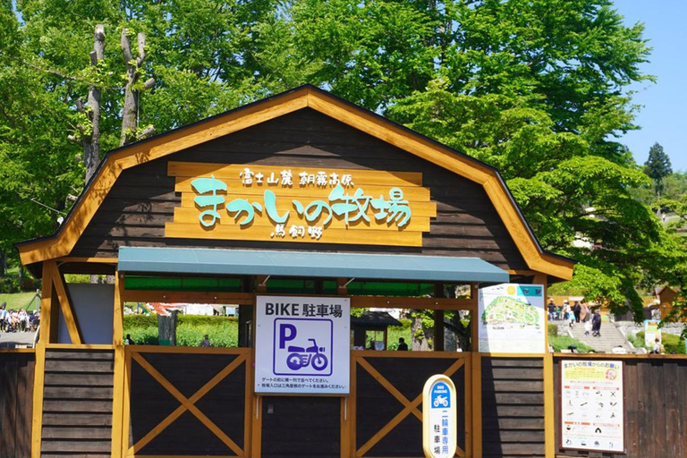 Mt Fuji Lake Tanuki & Makaino Farm Day Tour with Pickup 8:00 Meet at Tokyo Station Marunouchi North