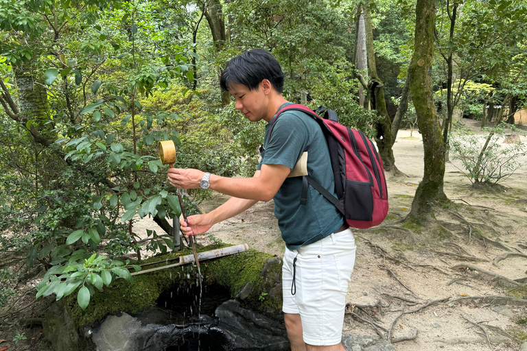 Nara: Światowe dziedzictwo Yakushi-ji i Toshodai-ji w 3 godziny