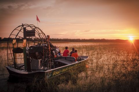 From Kissimmee: Boggy Creek Everglades Sunset Airboat Tour