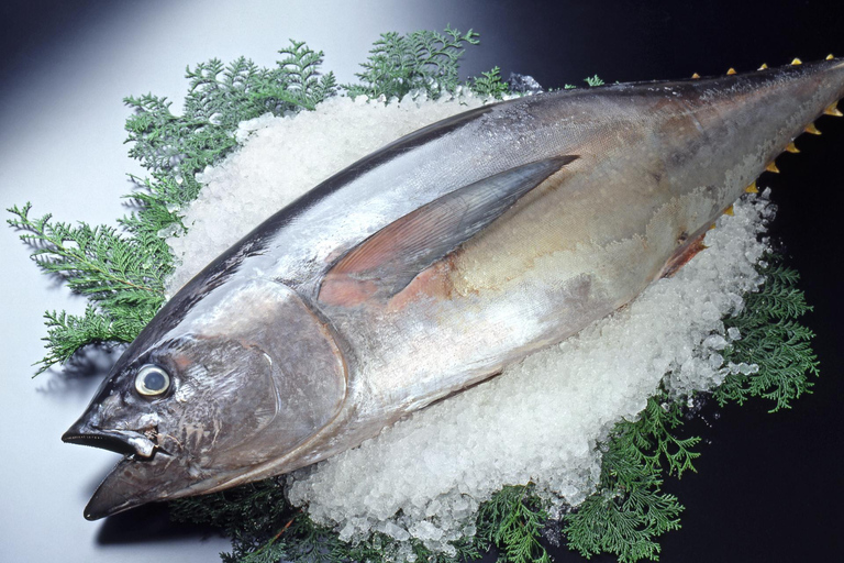 Wakayama: Learn & Taste Japan Tuna Culture in Nachikatsuura