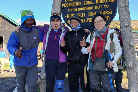 7-dniowa trasa Lemosho na Kilimandżaro Trek Budget Experience