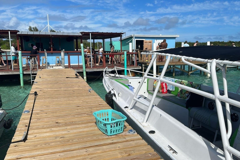 Nassau: excursion privée en hors-bord, plongée avec tuba et nage avec des cochonsVisite privée