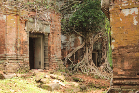 From Siem Reap: Beng Mealea and Koh Ker Temple Day Trip