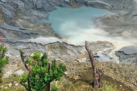 Desde Yakarta : Volcán, Campos de Té y Arroz, Aguas Termales