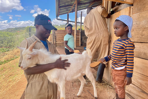 Kigali: La Fromagerie Farm Tour with Cheese Tasting