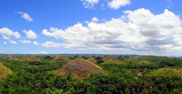 Cebu: Bohol Countryside and Loboc River Cruise Day Tour