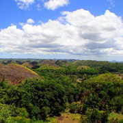 Cebu: Bohol Countryside and Loboc River Cruise Day Tour