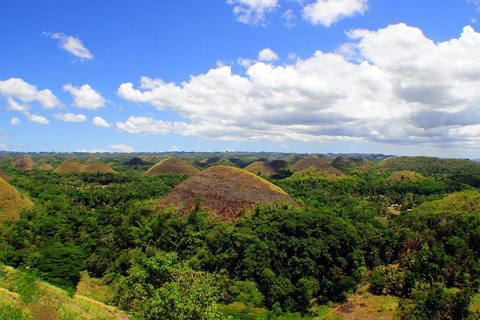 Cebu: Bohol Countryside and Loboc River Cruise Day Tour