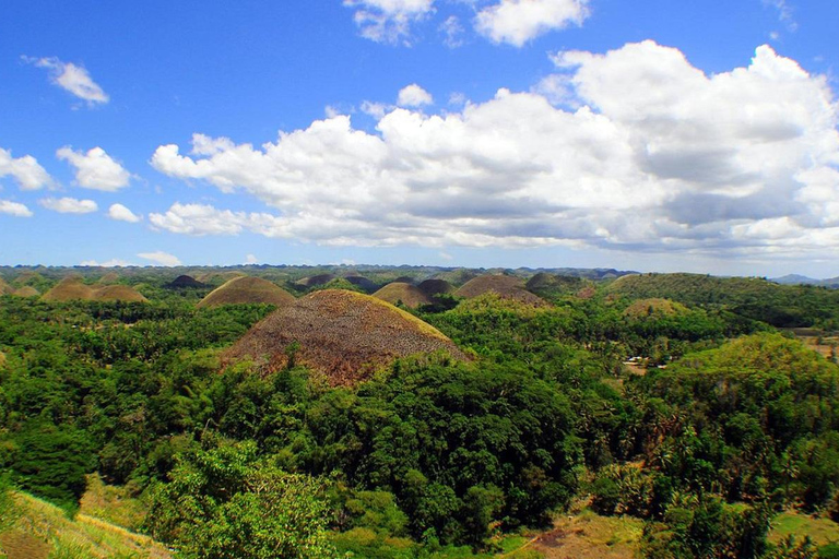 Cebu: Bohol Countryside and Loboc River Cruise Day Tour