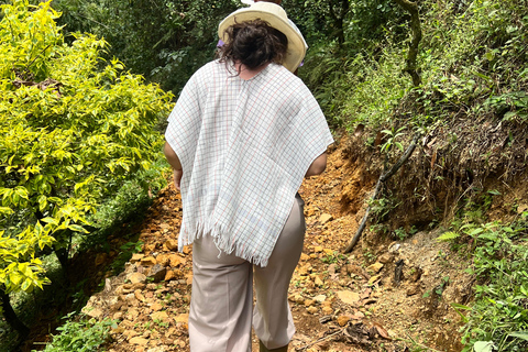 麦德林：咖啡农场之旅含品鉴与采摘体验麦德林：咖啡农场之旅，含品鉴与接送服务