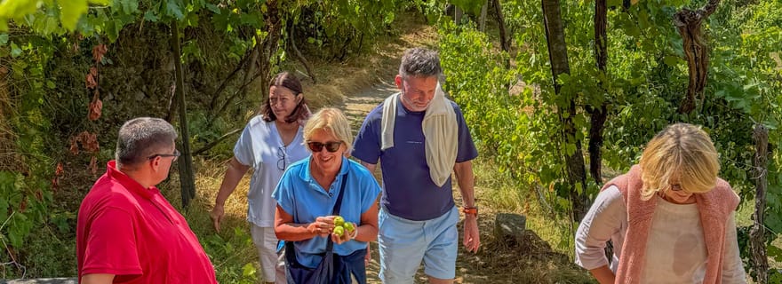 Vallée du Douro : huile d'olive, vin, bateau et déjeuner