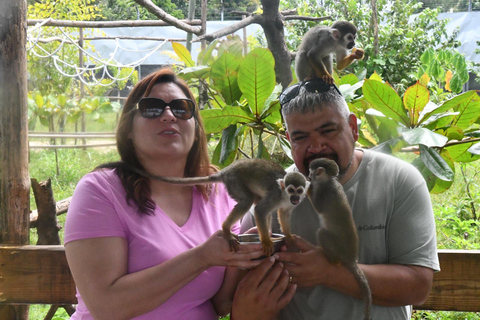 Puerto Plata: Monkey home, Damajagua Waterfalls & City Tour
