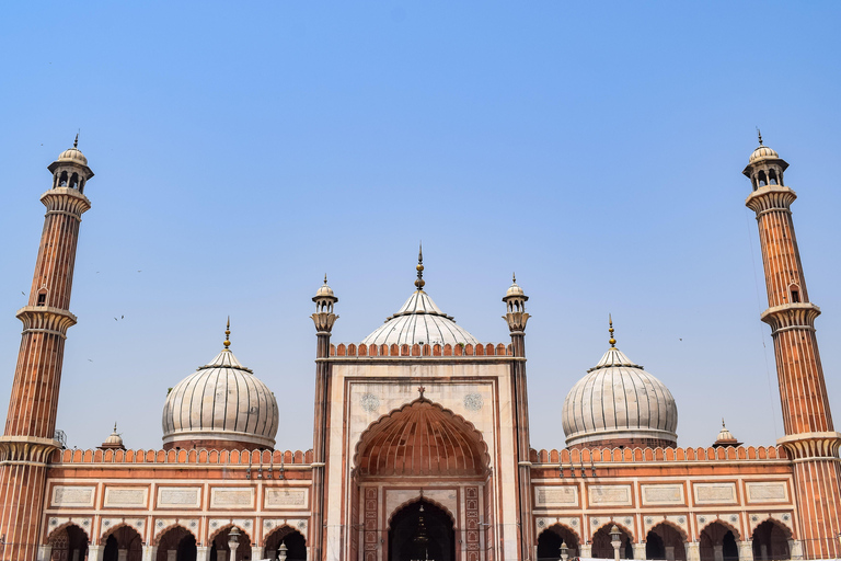 Jaipur, Jodhpur or Jaisalmer Multi-Day Trip with Safari