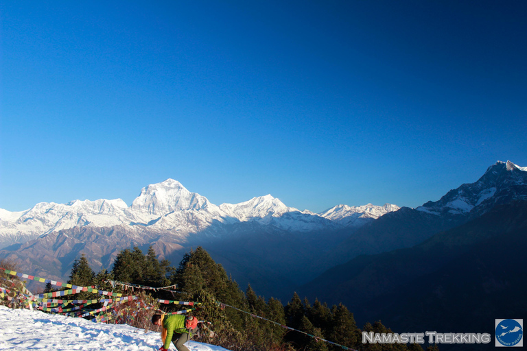 From Pokhara: 2-Day Short Poon Hill Trek