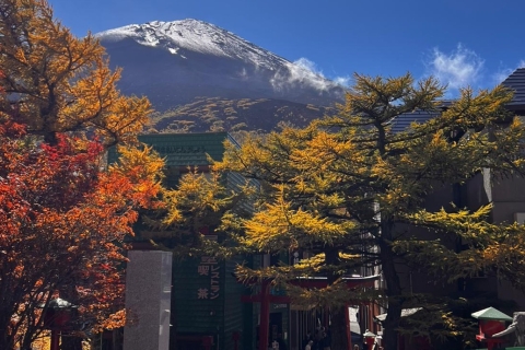 Berg Fuji Ganztägige private Tour mit englischsprachigem Guide
