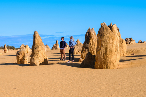 Perth to the Pinnacles with 4WD desert drive & sandboarding