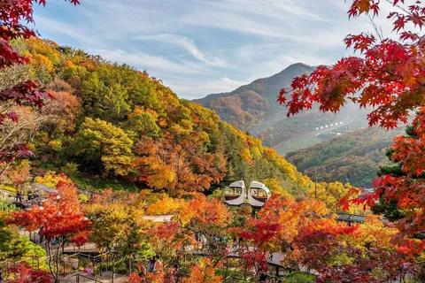 Seúl: Bosque de Hwadam & Namhansanseong & Pueblo Popular Coreano