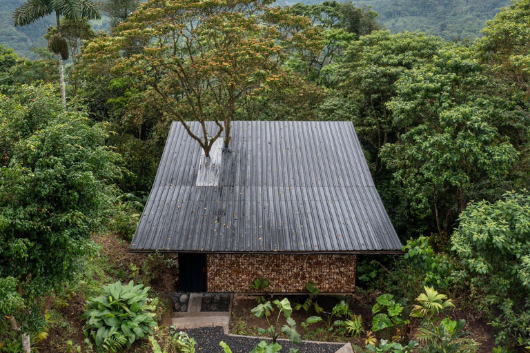 Quito: 3-Day Amazon Experience with Spa & Indigenous Visit