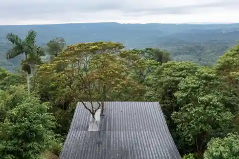 Quito: esperienza di 3 giorni in Amazzonia con spa e visita agli indigeni