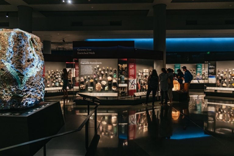 Nowy Jork: Amerykańskie Muzeum Historii NaturalnejWstęp ogólny