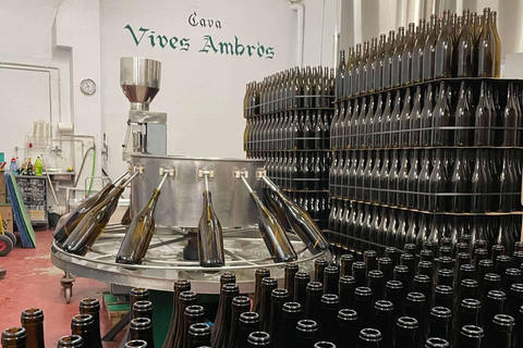 Tarragona: Tour of an underground winery with a tasting of 6 cavas and 6 wines Guided visit in English