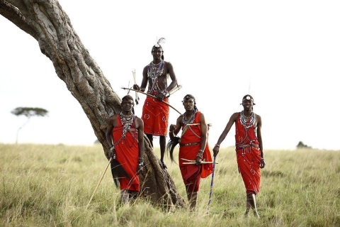 Van Moshi: Maasai Village en warmwaterbronnen met lunch