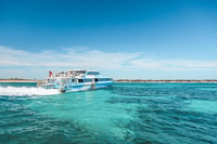 From Fremantle, Rottnest Island Ferry & Admission Ticket - Housity