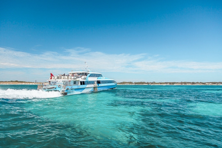 Ab Fremantle: Rottnest Island Fähre & EintrittAbfahrt 7:00 Uhr - Fährticket mit Rückfahrt am selben Tag