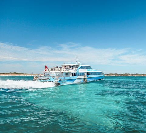 Passeios de barco