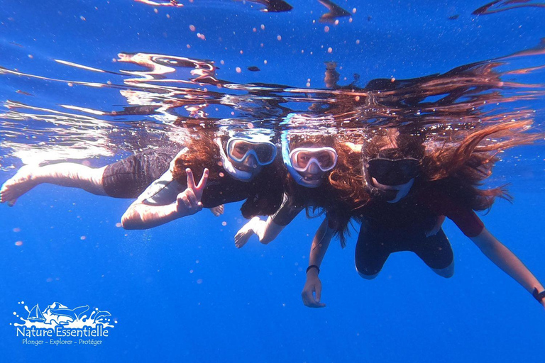 A day in the Lérins Islands: Snorkeling, Yoga & Running A Day in the Lérins Islands: Snorkeling, Yoga & Running