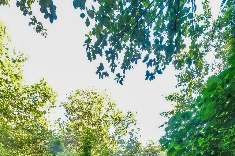 جولة بالدراجات الجبلية في ديفيد، شيريكي، بنما