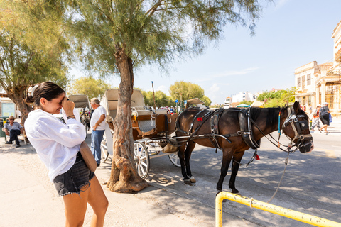 Athens: Aegina, Agistri & Metopi Swimming Cruise with lunch Cruise with Pickup From Select Hotels in Athens