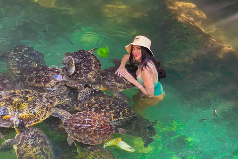 Sansibar: Insel Mnemba, Turles schwimmen mit Kendwa Strand