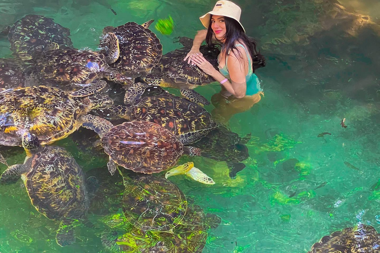 Sansibar: Insel Mnemba, Turles schwimmen mit Kendwa Strand