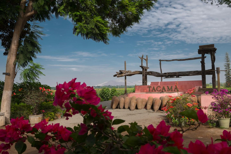 Exclusive: Hacienda Tacama from Lima + Paracas + Ica