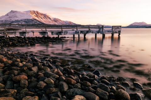 Tromso : expédition guidée dans le fjord et l'île de Kvaløya avec déjeuner