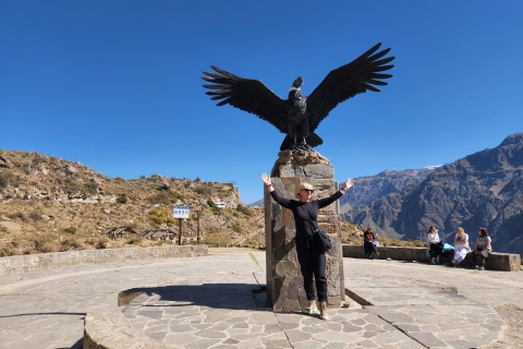 Arequipa: Excursión de día completo al Cañón del Colca
