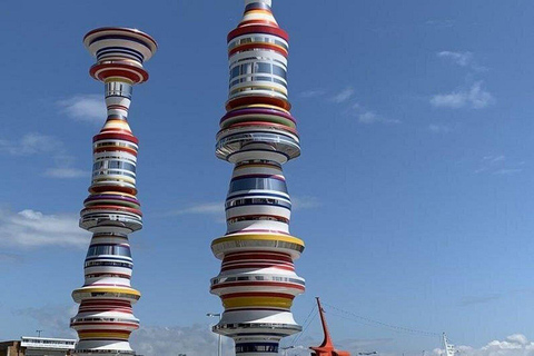 Naoshima FullDay Private Tour with Government-Licensed Guide