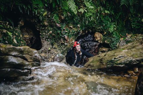 Från Auckland: Waitomo Caves Black Abyss Adventure Tour