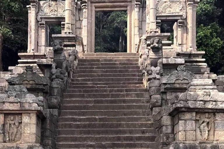 Sigiriya: Minneriya Safari, Yapahuwa Rock & Colombo Drop-off Sigiriya: Minneriya Safari, Yapahuwa Rock & Negombo Drop-off