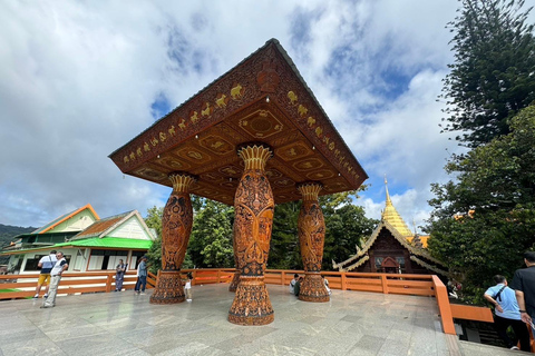 Chiang Mai: Santuario degli elefanti, sentiero dei monaci e tour di Doi SuthepPunto di incontro