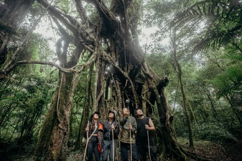 Bedugul Tour: Trecking, Waterfall, Handara Gate, Ulundanu