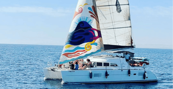 Marbella: Group Dolphin Watching Catamaran Tour with Snacks