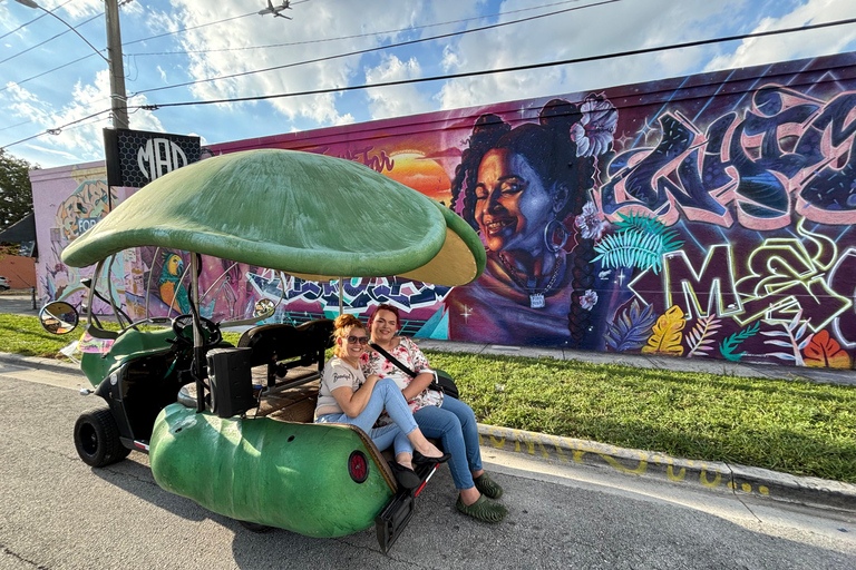 Miami: Graffiti & Street Art Tour in Wynwood Wynwood Graffiti’s Private Tour 2h