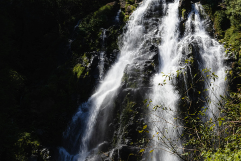 Excursión de un día a la cascada de Diyaluma desde Galle WeligamaExplora la cascada de Diyaluma