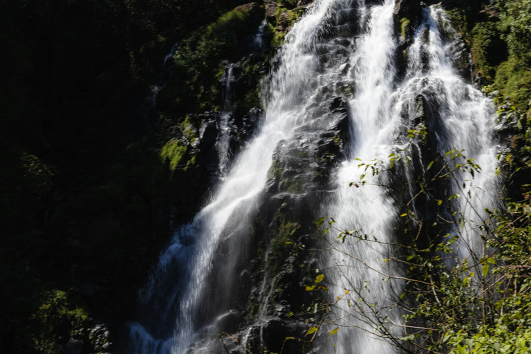 Excursión de un día a la cascada de Diyaluma desde Galle WeligamaExplora la cascada de Diyaluma